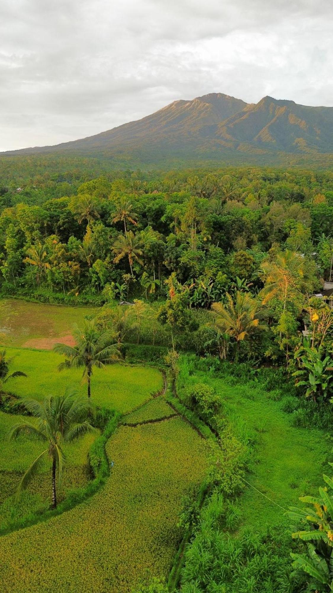 Tetebatu Indah Homestay Exterior foto