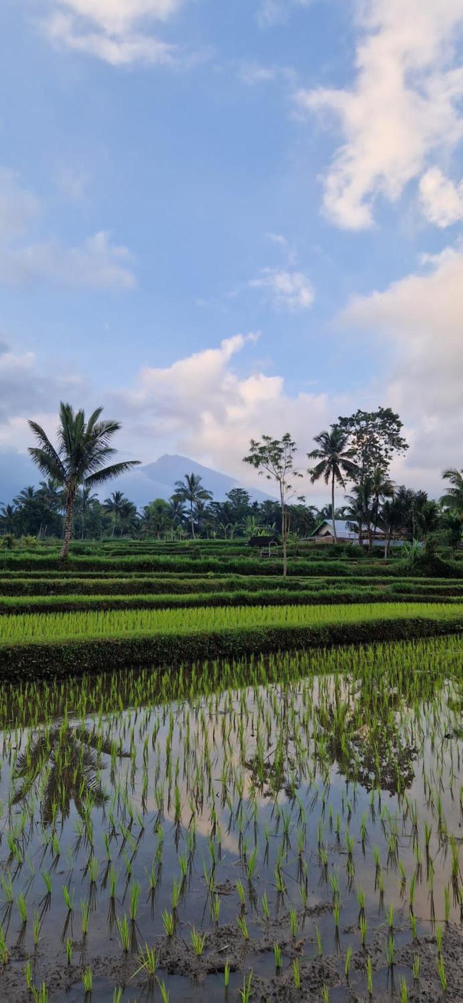 Tetebatu Indah Homestay Exterior foto